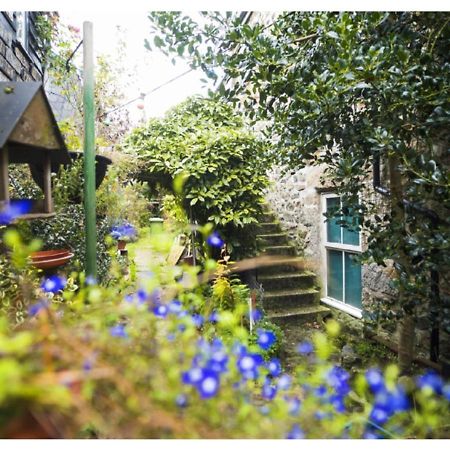 Abbey Place Net Loft Mousehole Zewnętrze zdjęcie